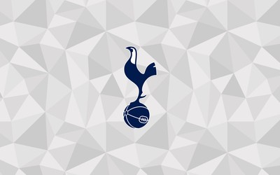 IM电竞-内维斯远射进球集锦爆火