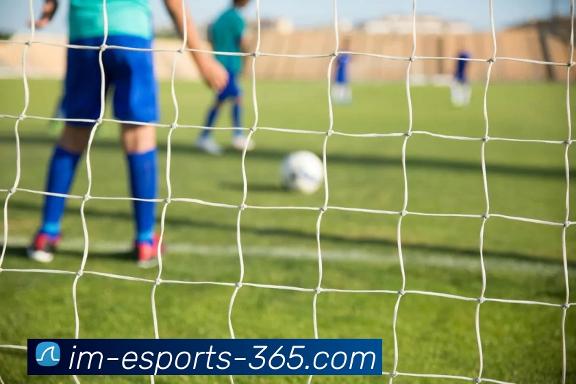 IM电竞全天候APP 体育赛事宣传图