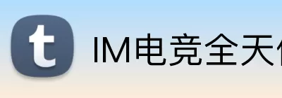 IM电竞全天候 logo